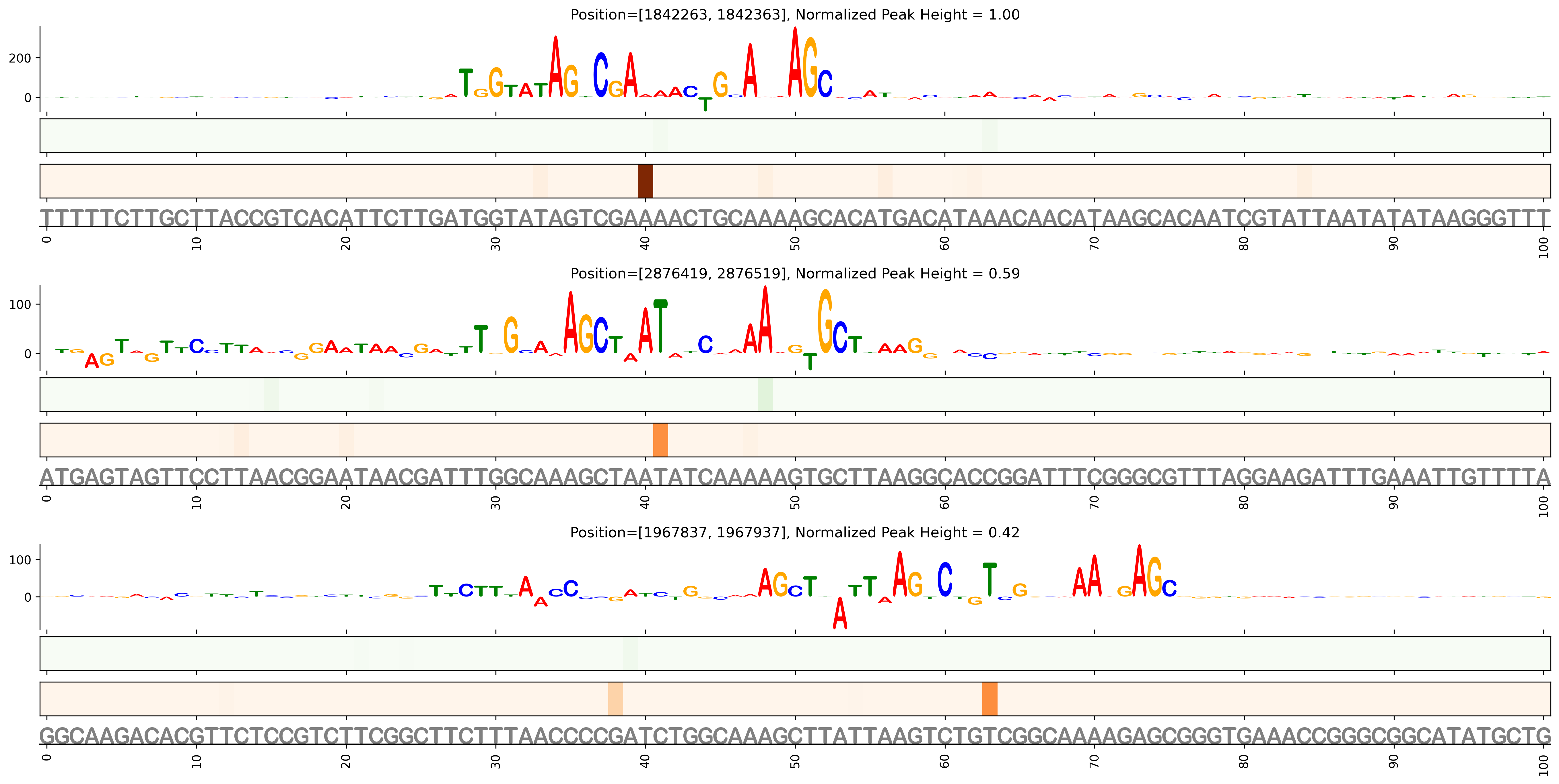 Predicted Binding in Top ChIP-Seq Binding Sites
