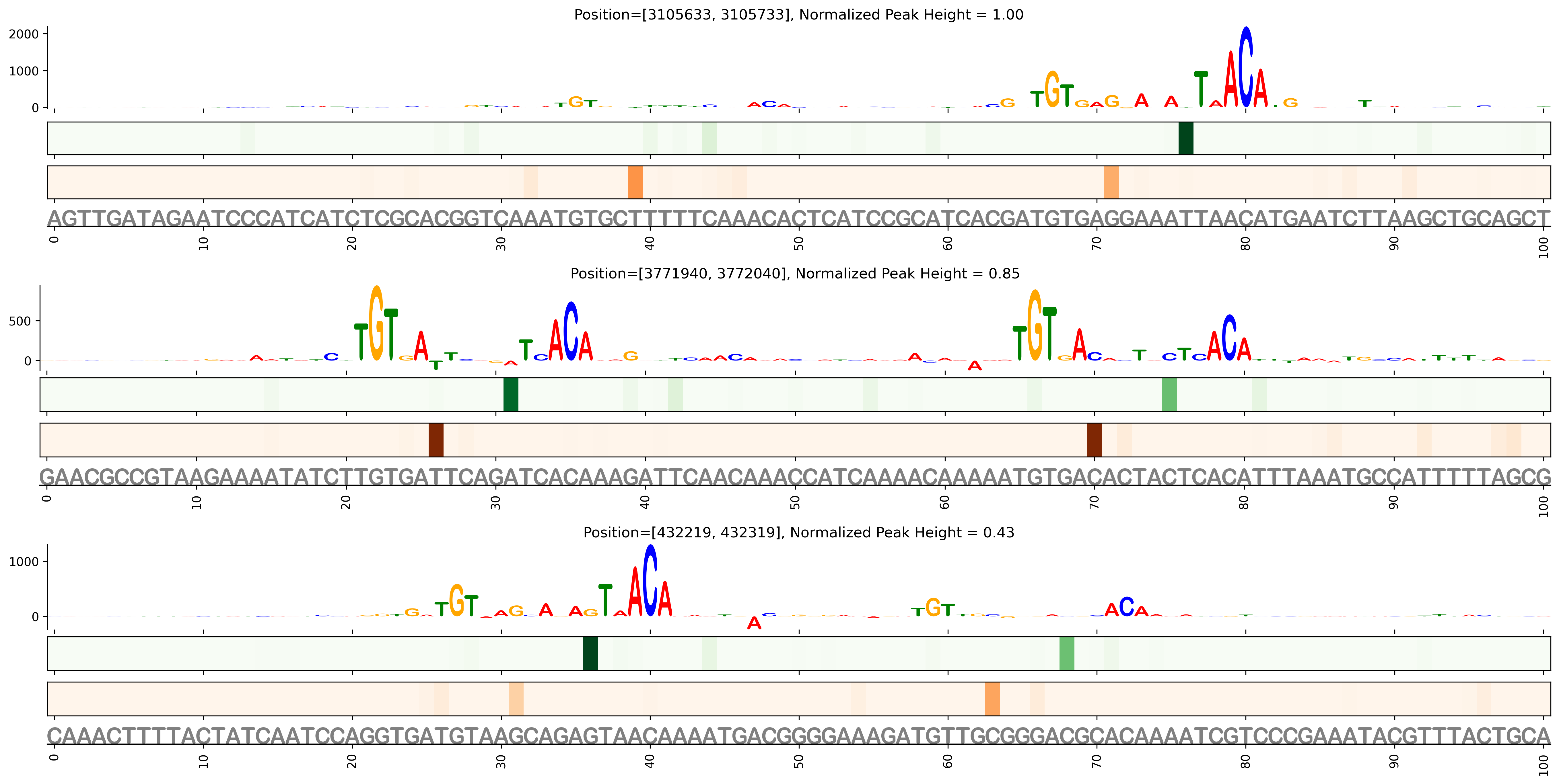 Predicted Binding in Top ChIP-Seq Binding Sites
