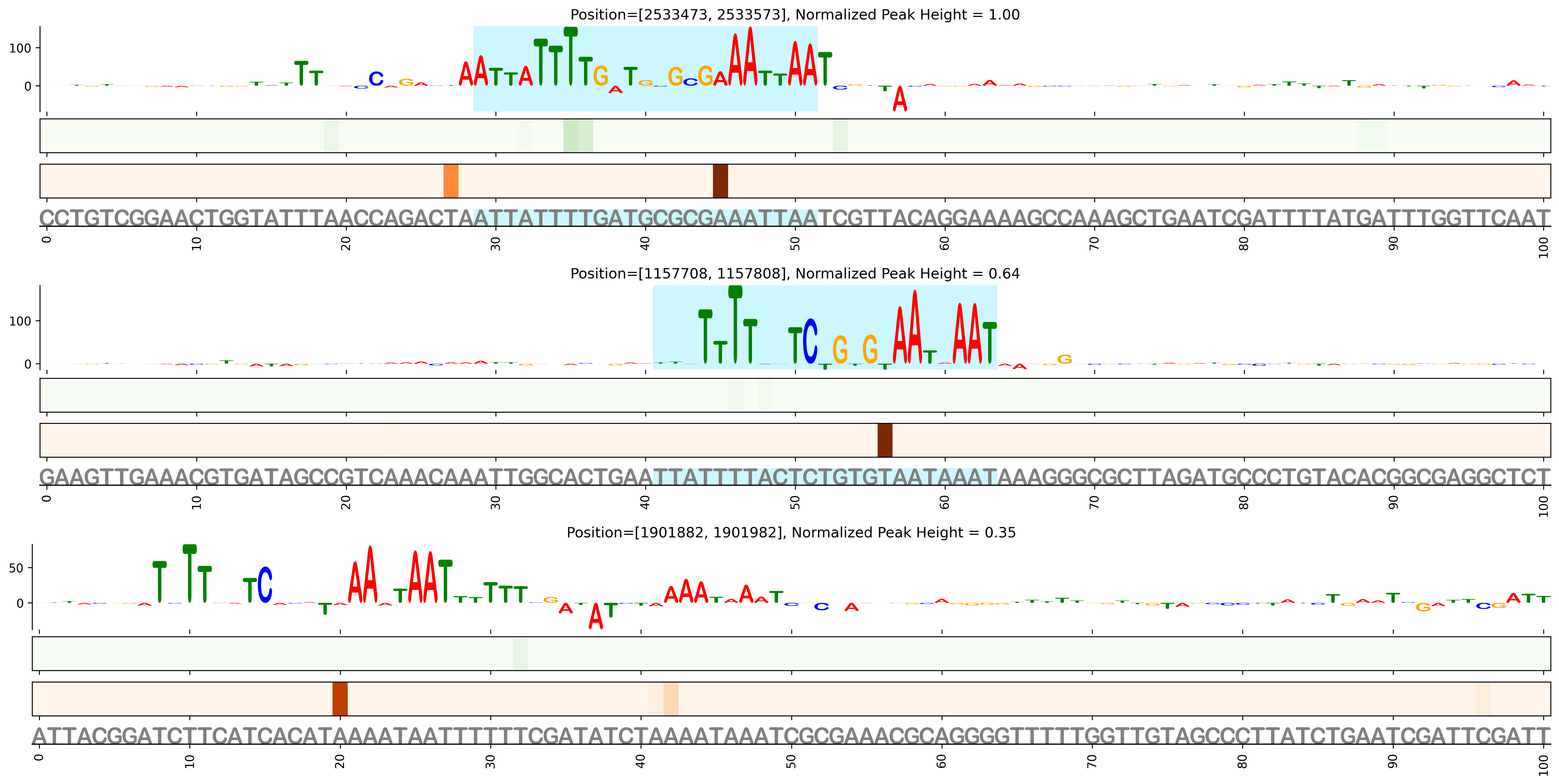 Predicted Binding in Top ChIP-Seq Binding Sites