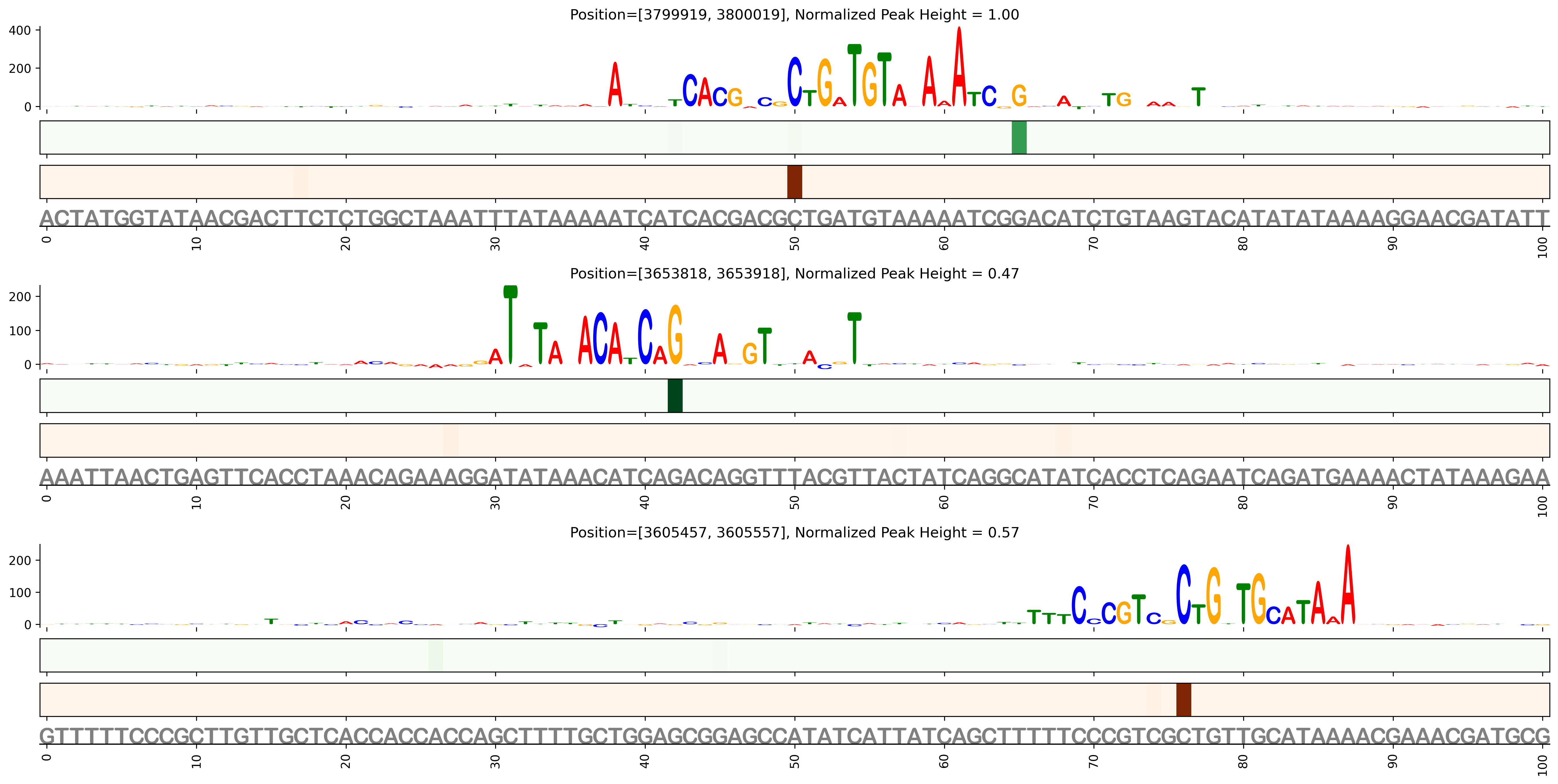 Predicted Binding in Top ChIP-Seq Binding Sites