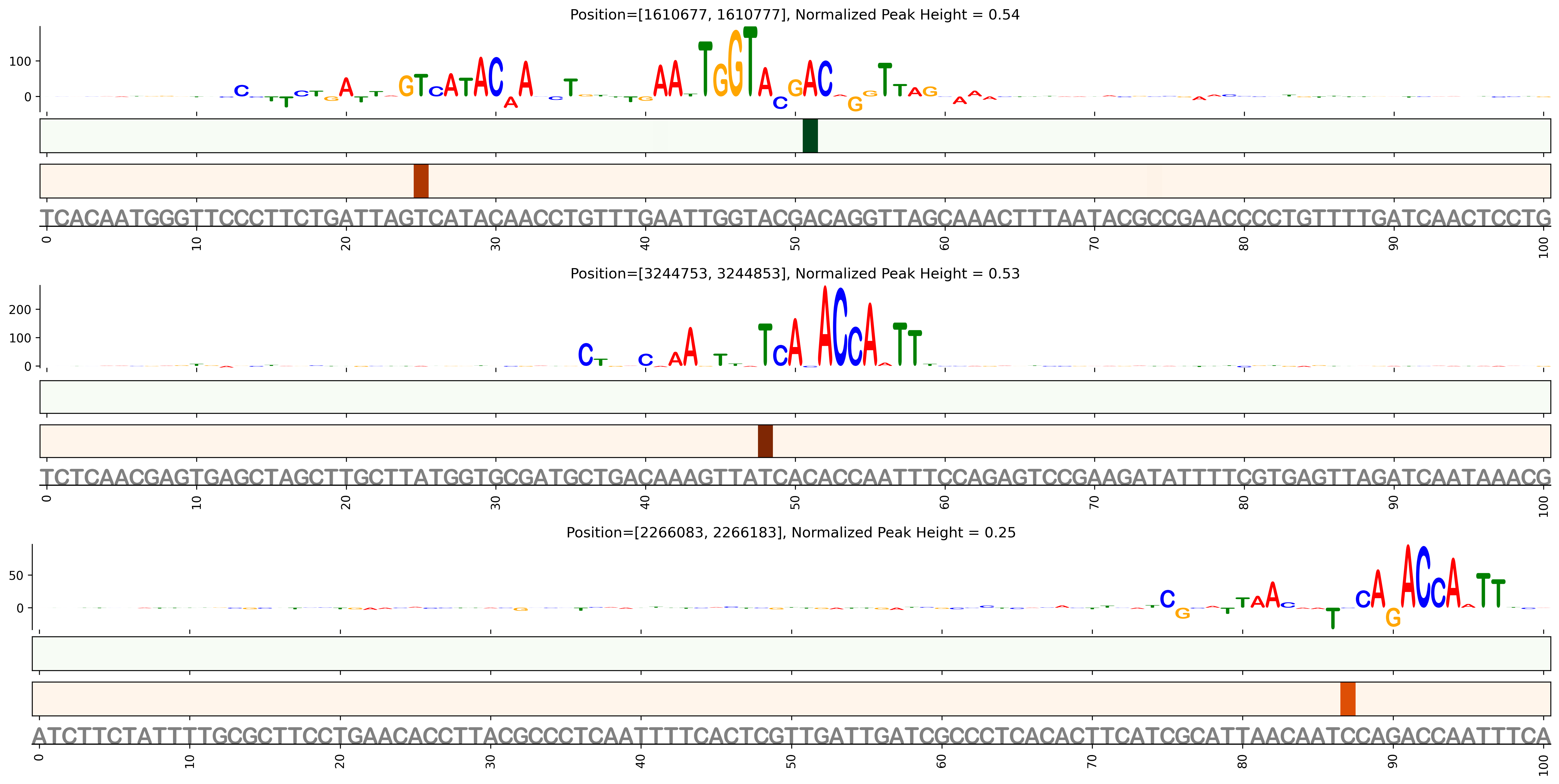 Predicted Binding in Top ChIP-Seq Binding Sites