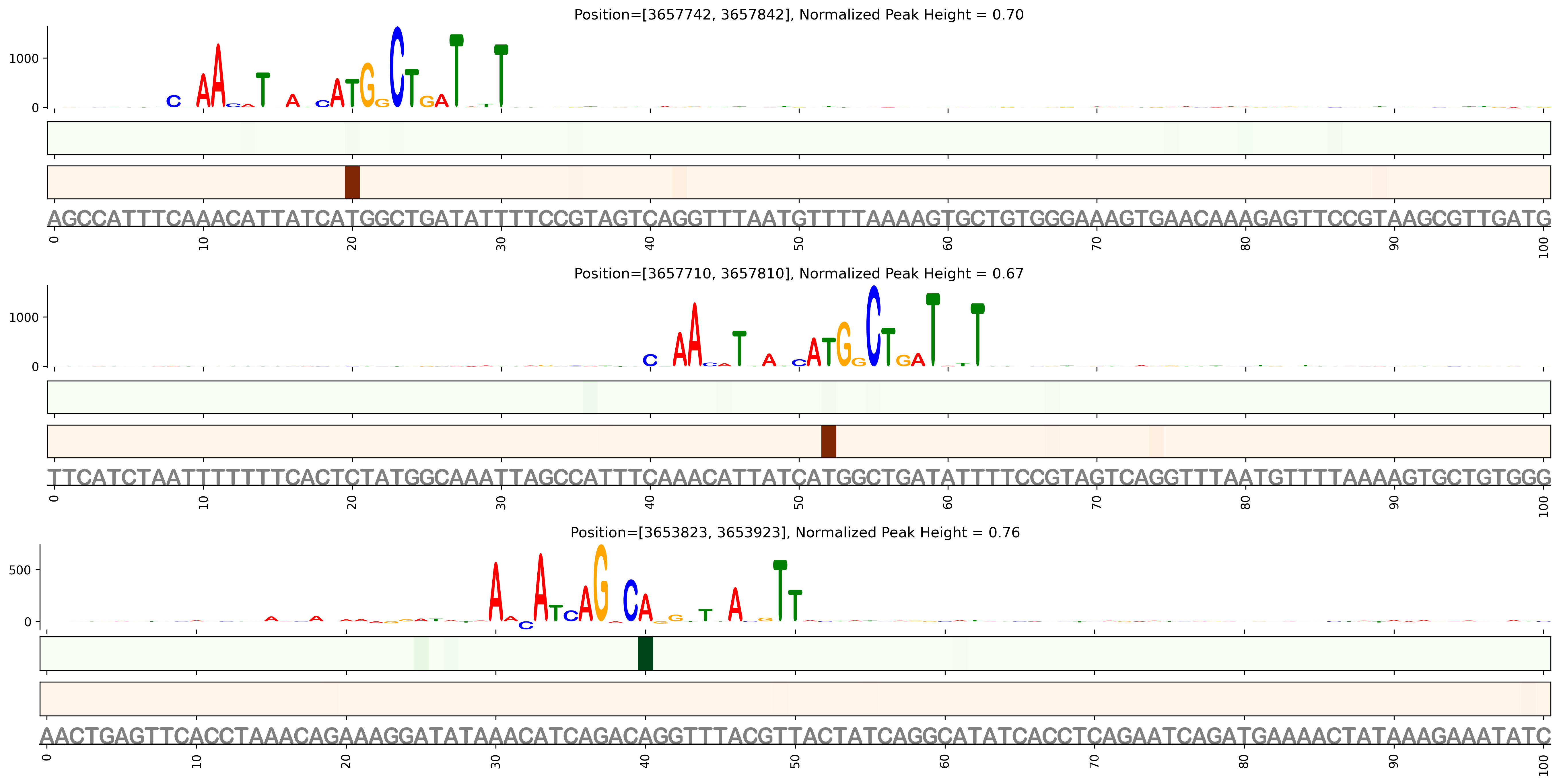 Predicted Binding in Top ChIP-Seq Binding Sites