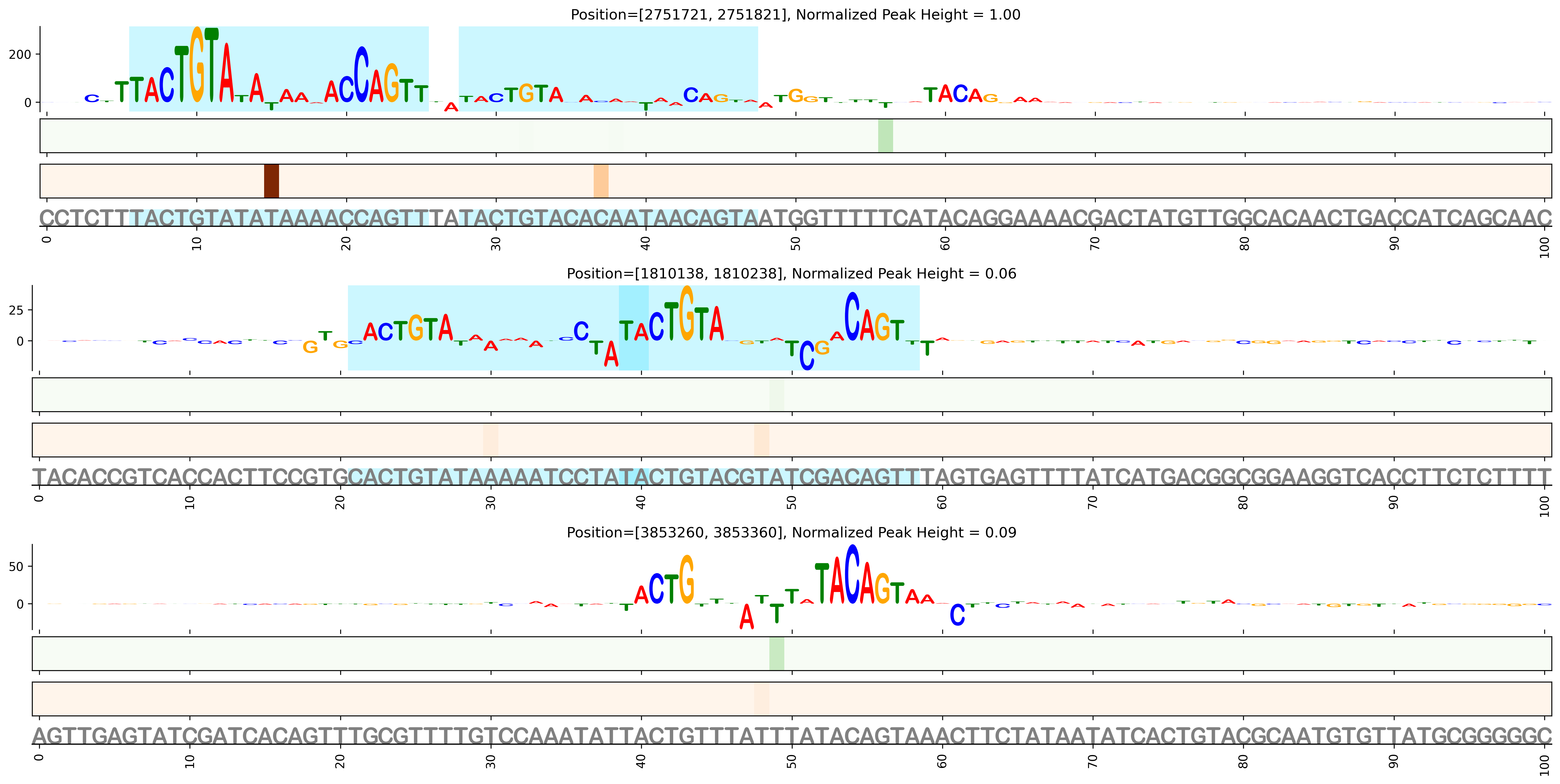 Predicted Binding in Top ChIP-Seq Binding Sites