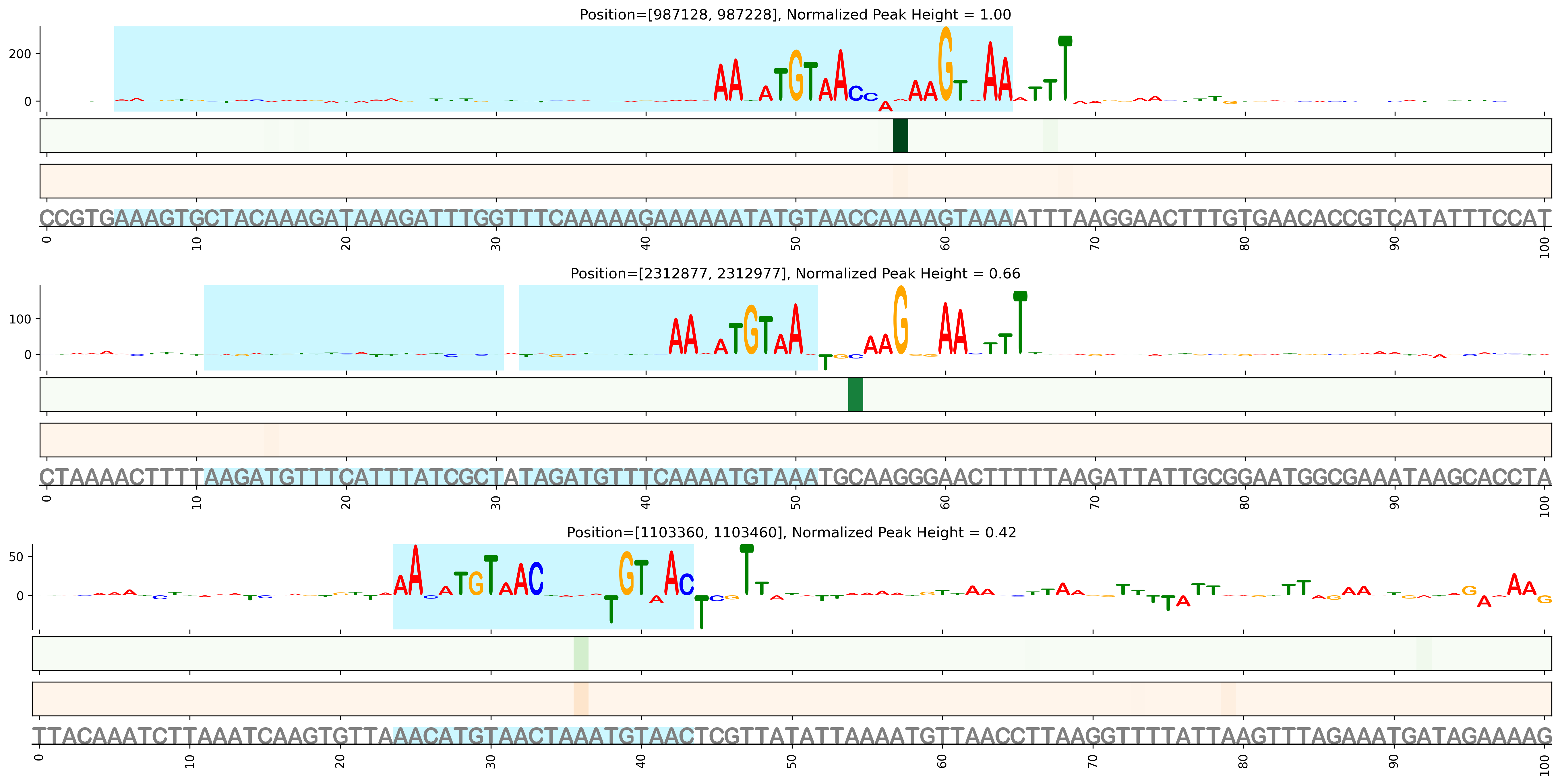 Predicted Binding in Top ChIP-Seq Binding Sites