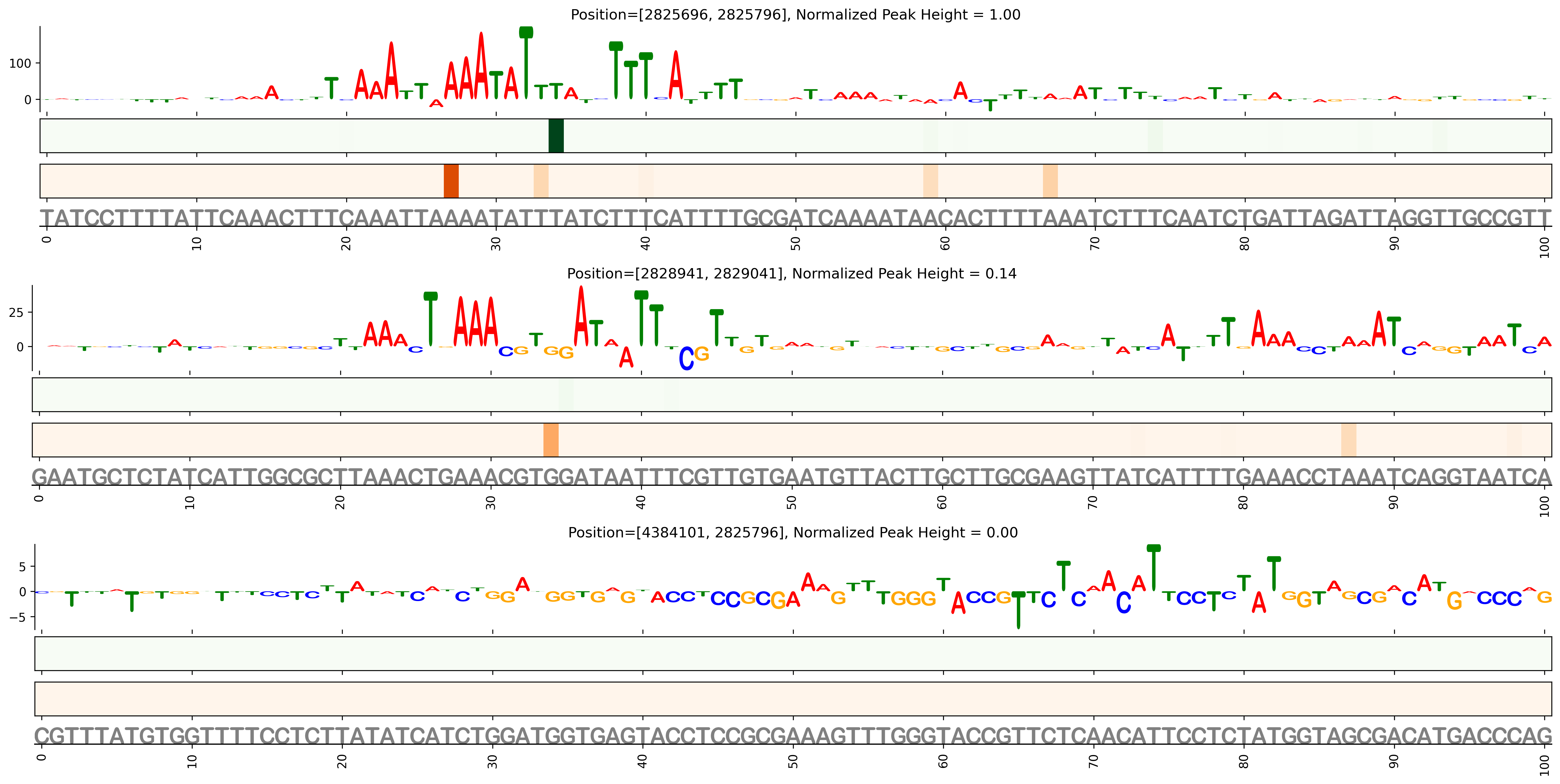 Predicted Binding in Top ChIP-Seq Binding Sites