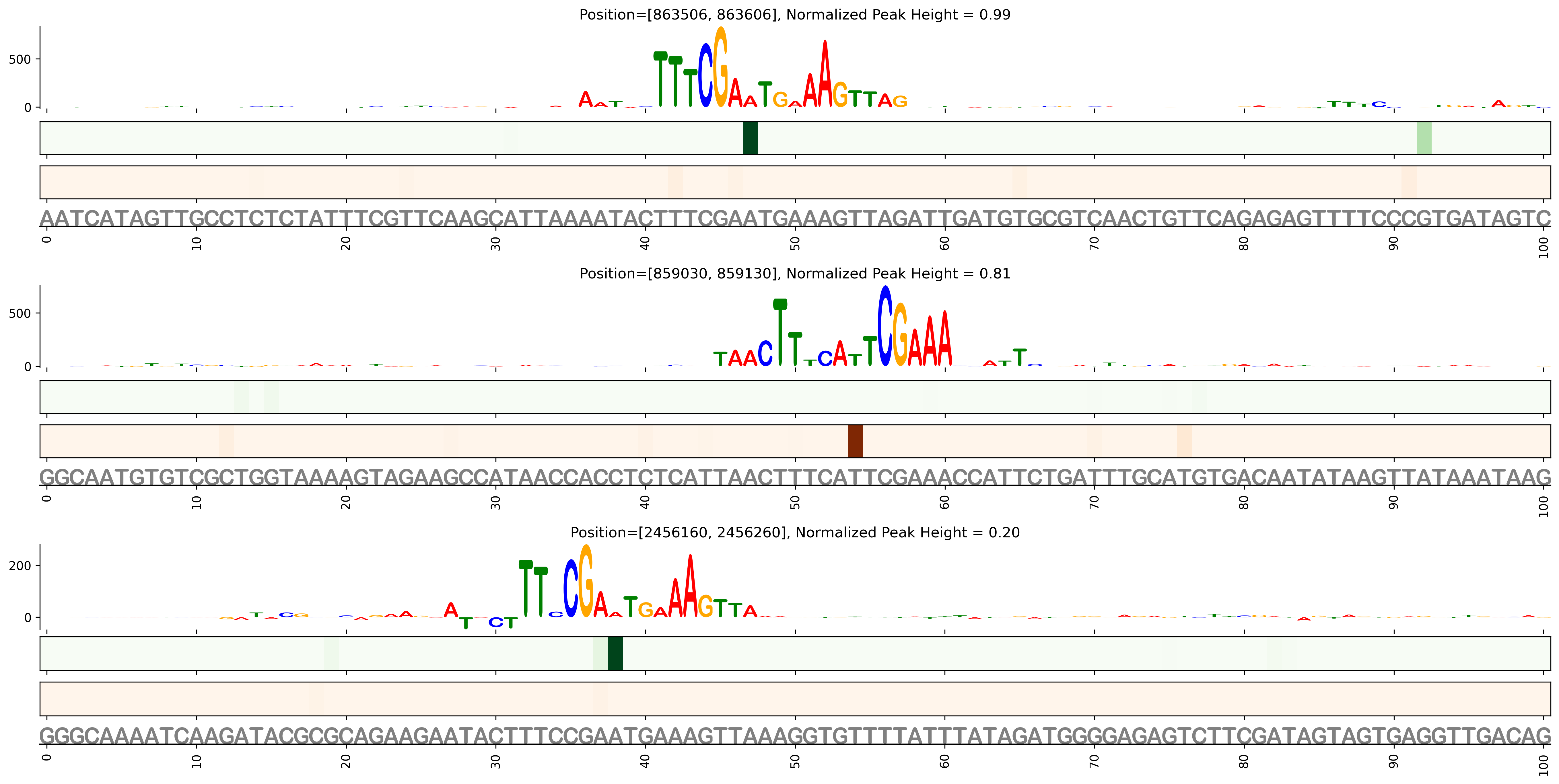 Predicted Binding in Top ChIP-Seq Binding Sites