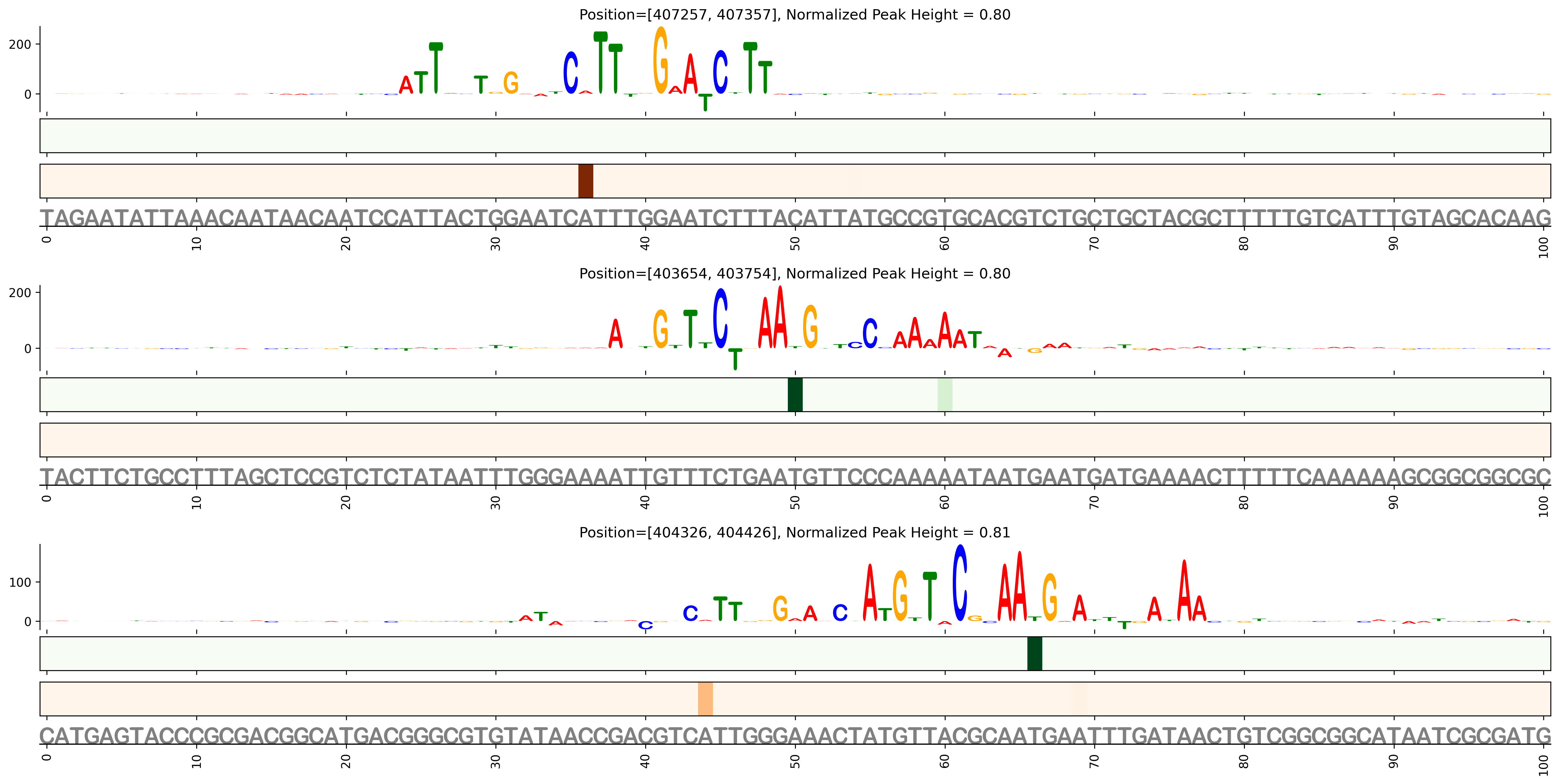 Predicted Binding in Top ChIP-Seq Binding Sites