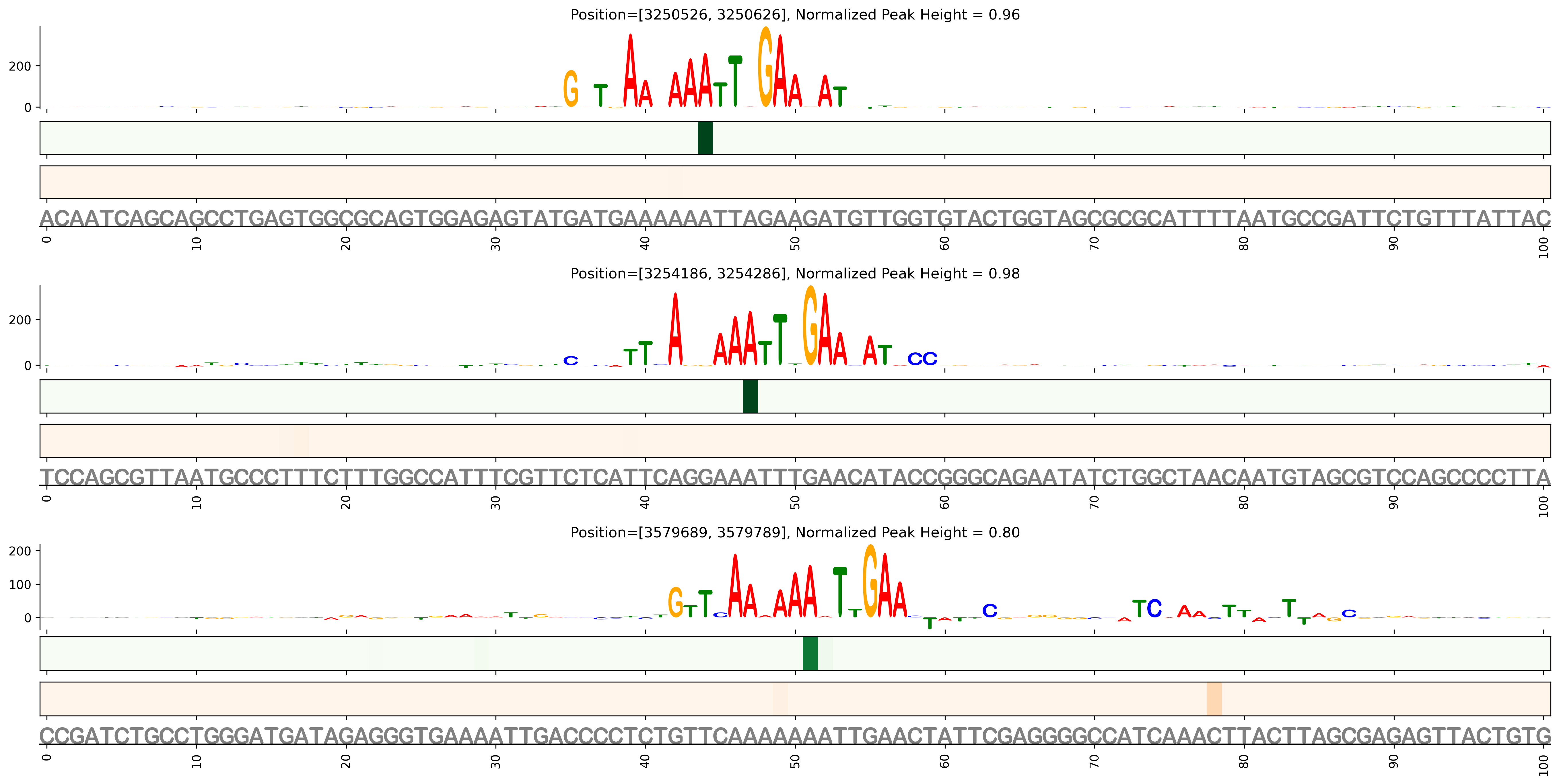 Predicted Binding in Top ChIP-Seq Binding Sites