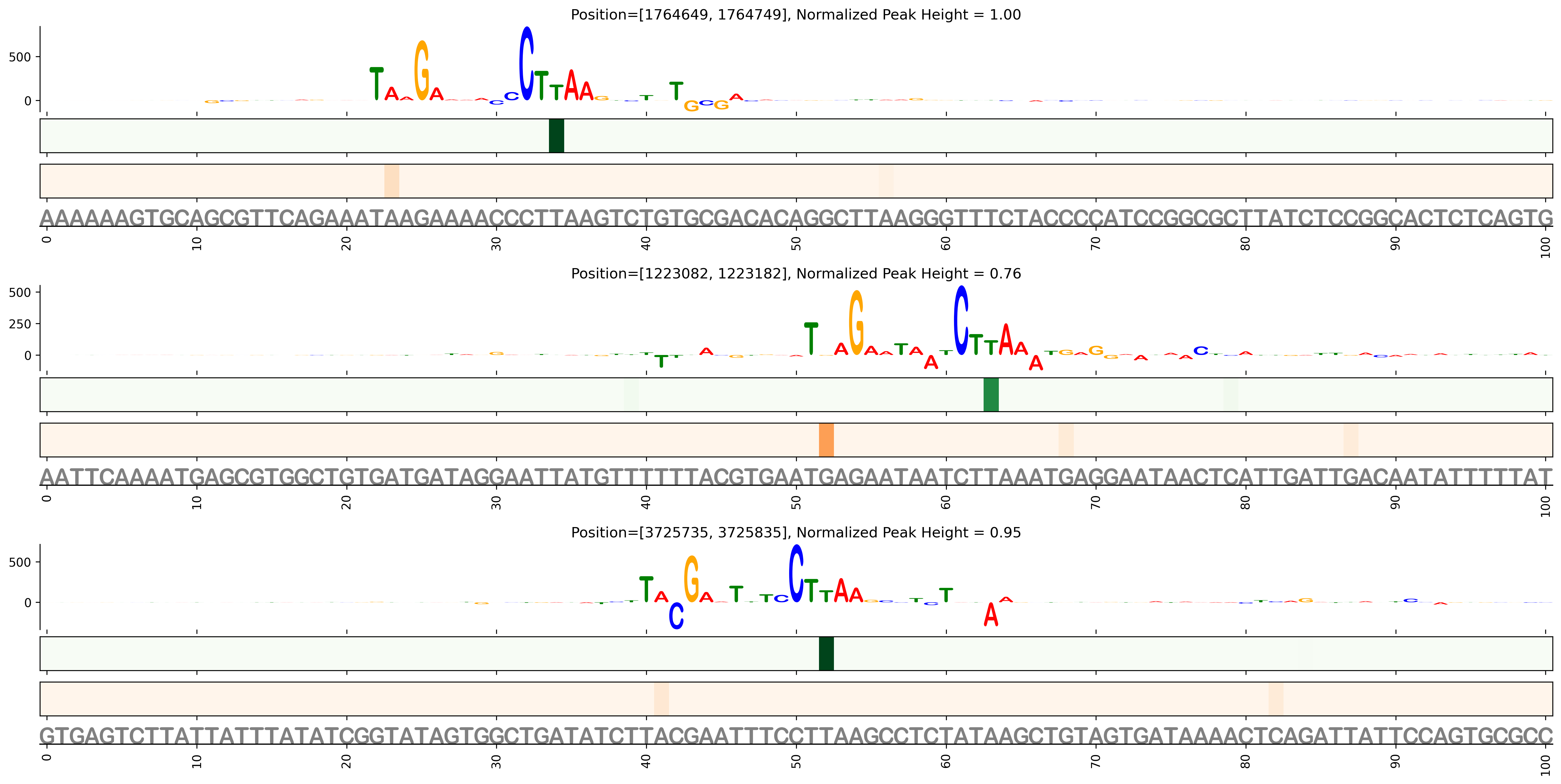 Predicted Binding in Top ChIP-Seq Binding Sites