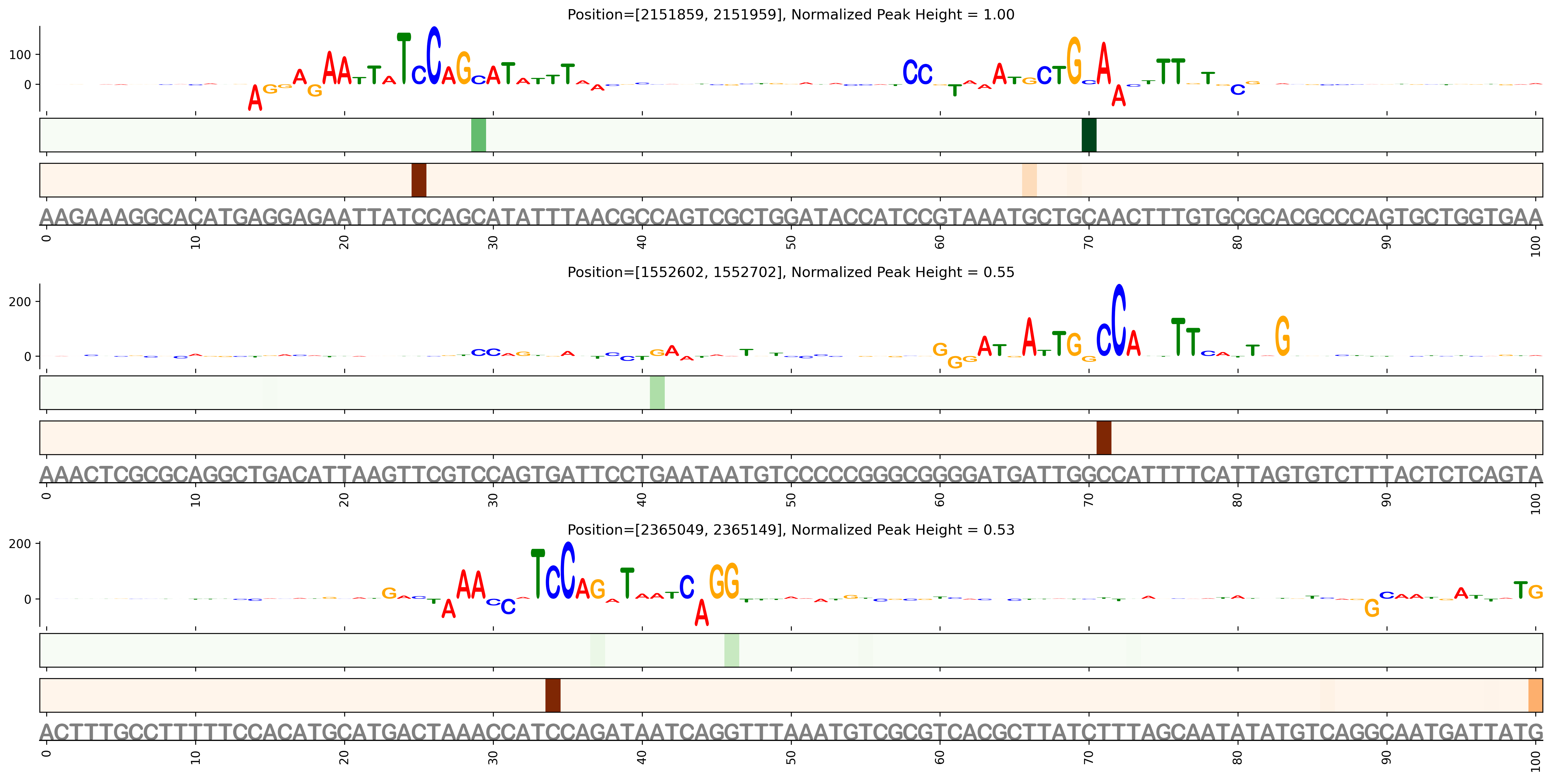 Predicted Binding in Top ChIP-Seq Binding Sites