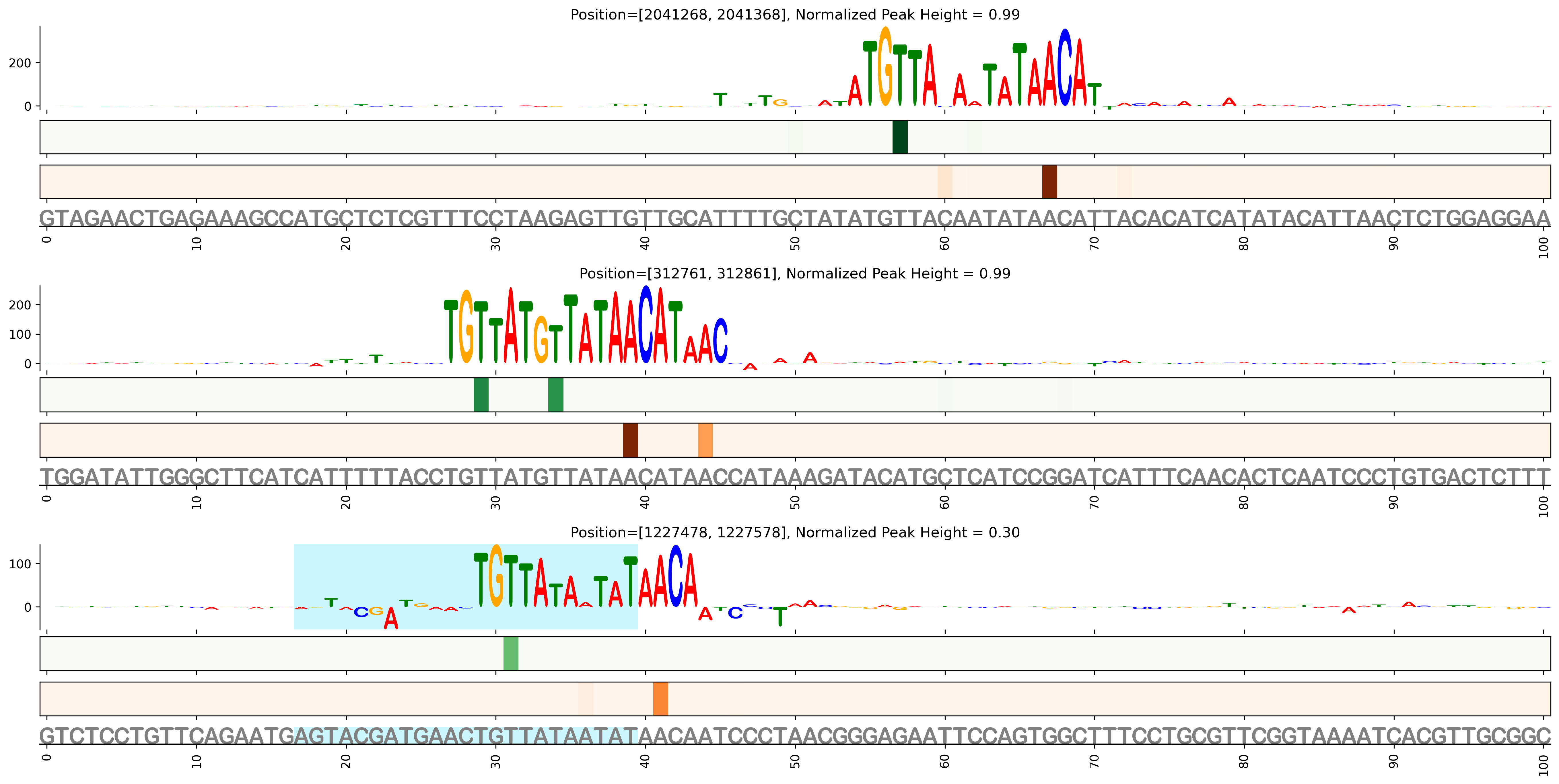 Predicted Binding in Top ChIP-Seq Binding Sites